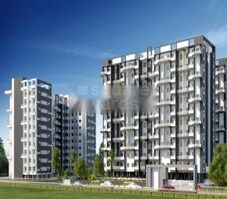 Pioneer Orchid Featured Image