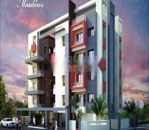 S and T Harmony Meadows Featured Image