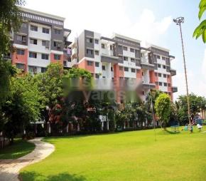 SDPL Greens