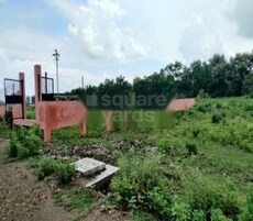 Vipra Layout Featured Image