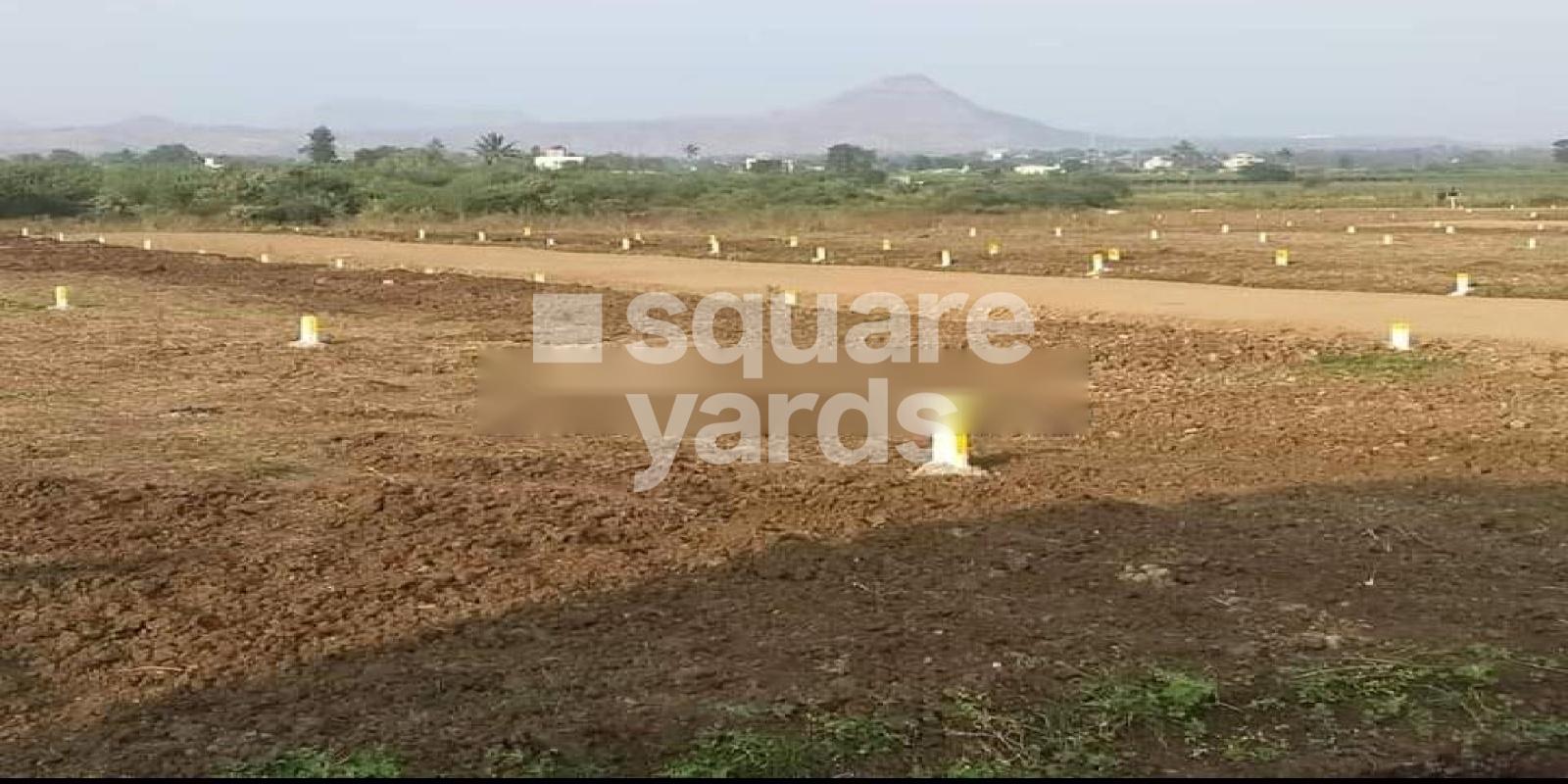 Dwarkamai Golden Shower Featured Image