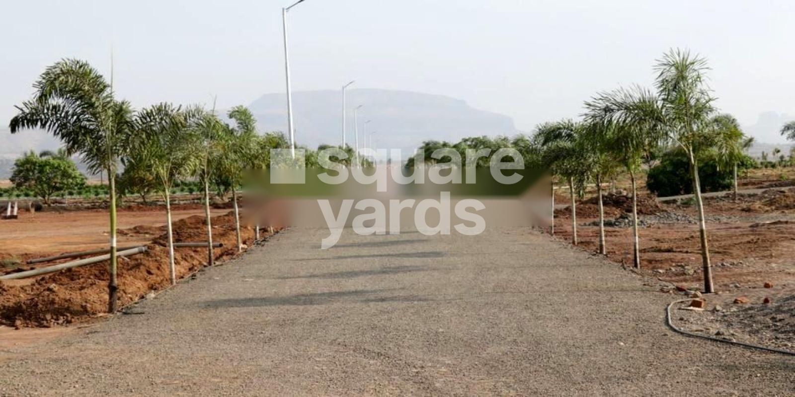 Trimbakam Kikwi Village, Trimbak, Nashik