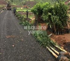 Asha Bramha Greens Featured Image