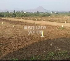 Dwarkamai Golden Shower Featured Image