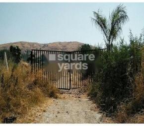 Green Acres Featured Image