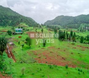 Habitat in Igatpuri, Nashik