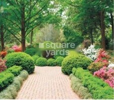 Home Orchid Gardens Featured Image