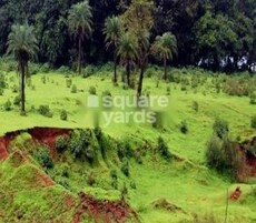 Pavitra Shrushti Hills Featured Image