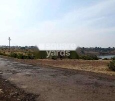 Subhadra Pastures Featured Image