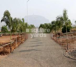 Trimbakam Kikwi Village, Trimbak, Nashik