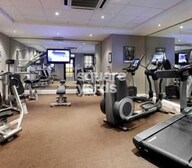 Abhishek Florida Sunflower Rose Jasmine Gymnasium Image