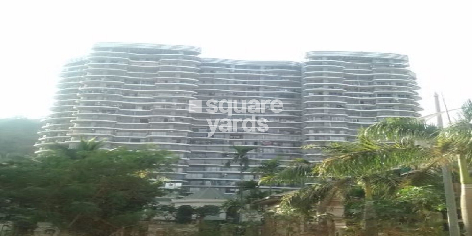 Adhiraj Cypress Aqua