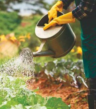 Apratim Joy Villa Amenities-Features