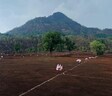 Ascenta Basalt Hills