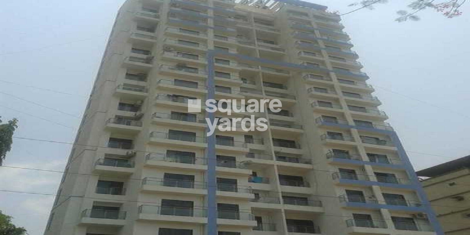 Blue Kites CHS Ltd