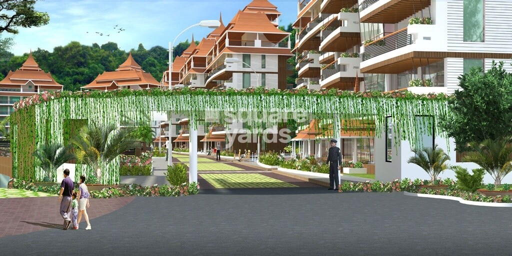 Coredelia Albertsville Universe