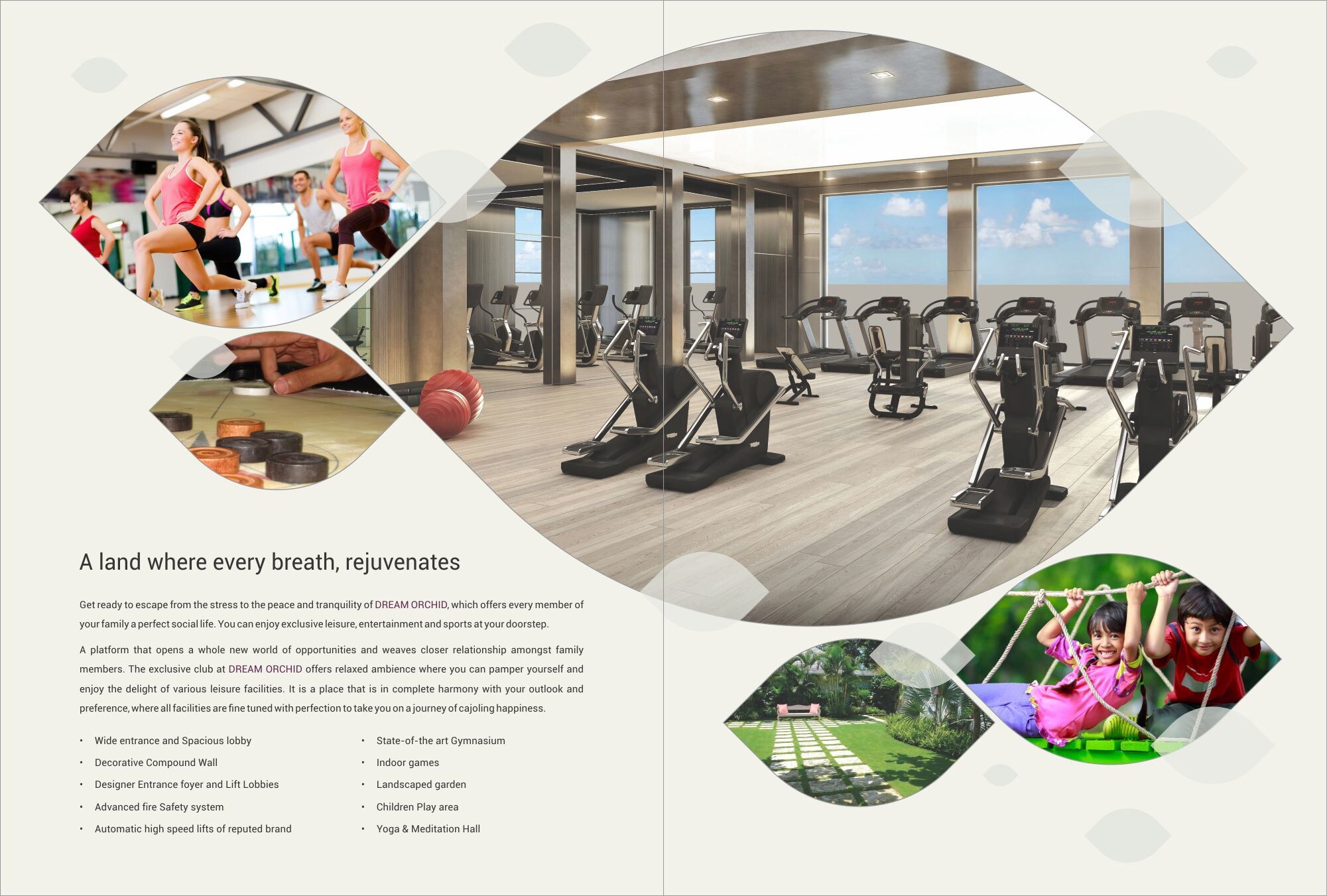 DD Dream Orchid Amenities-Features