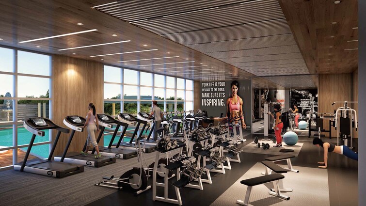 Delta Palmbeach Gymnasium Image