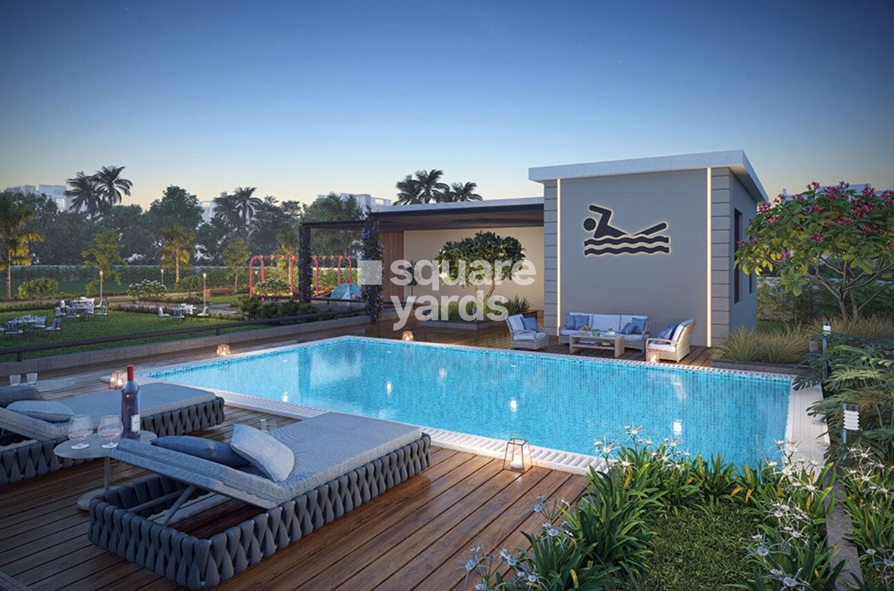 Divine Vista Harmony