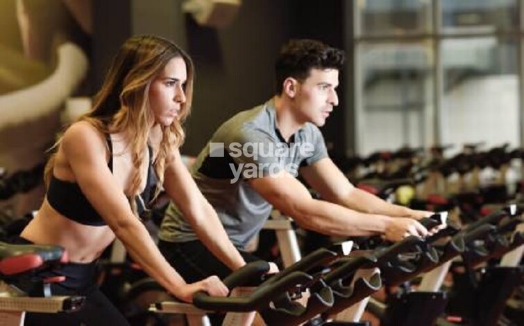 Earth Sai Palacia Gymnasium Image