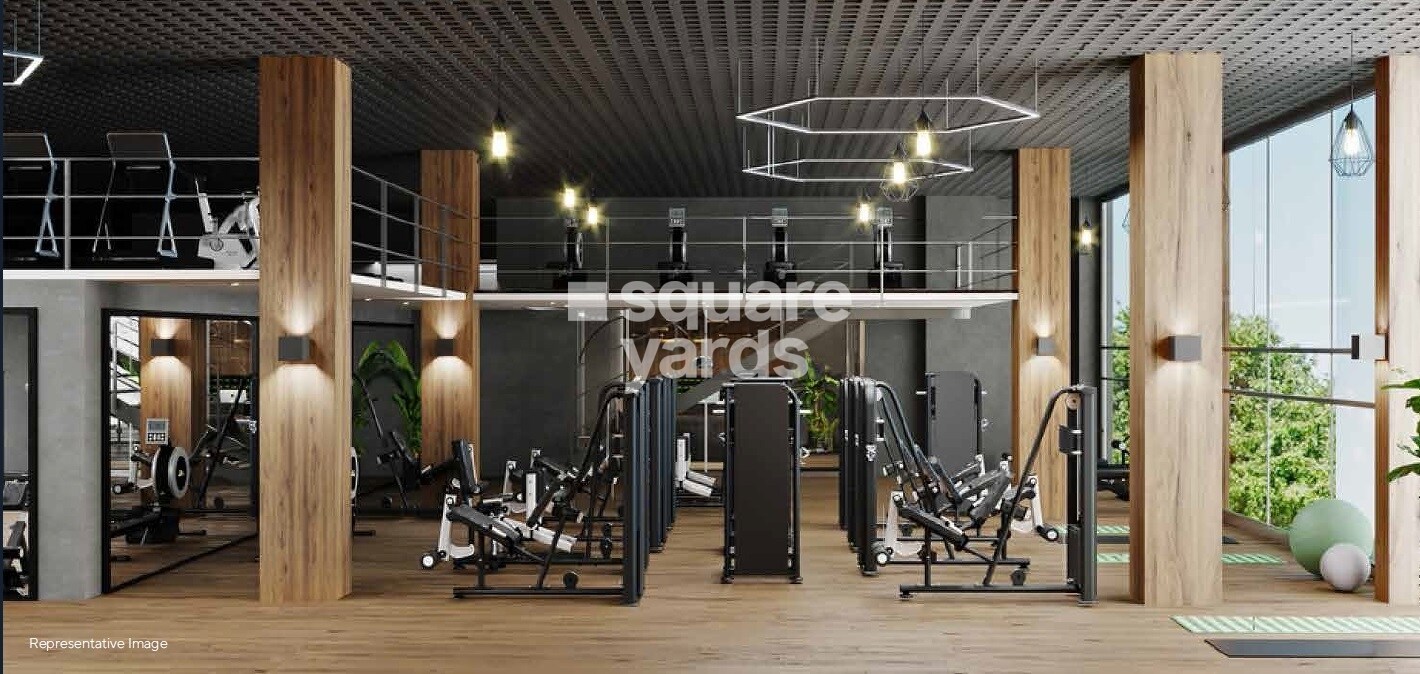 Emperia C2 Gymnasium Image