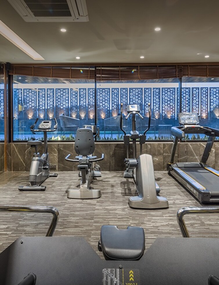 Experio Platinum Elysium Gymnasium Image