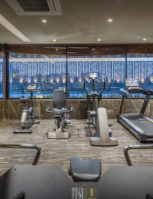 Experio Platinum Elysium Gymnasium Image