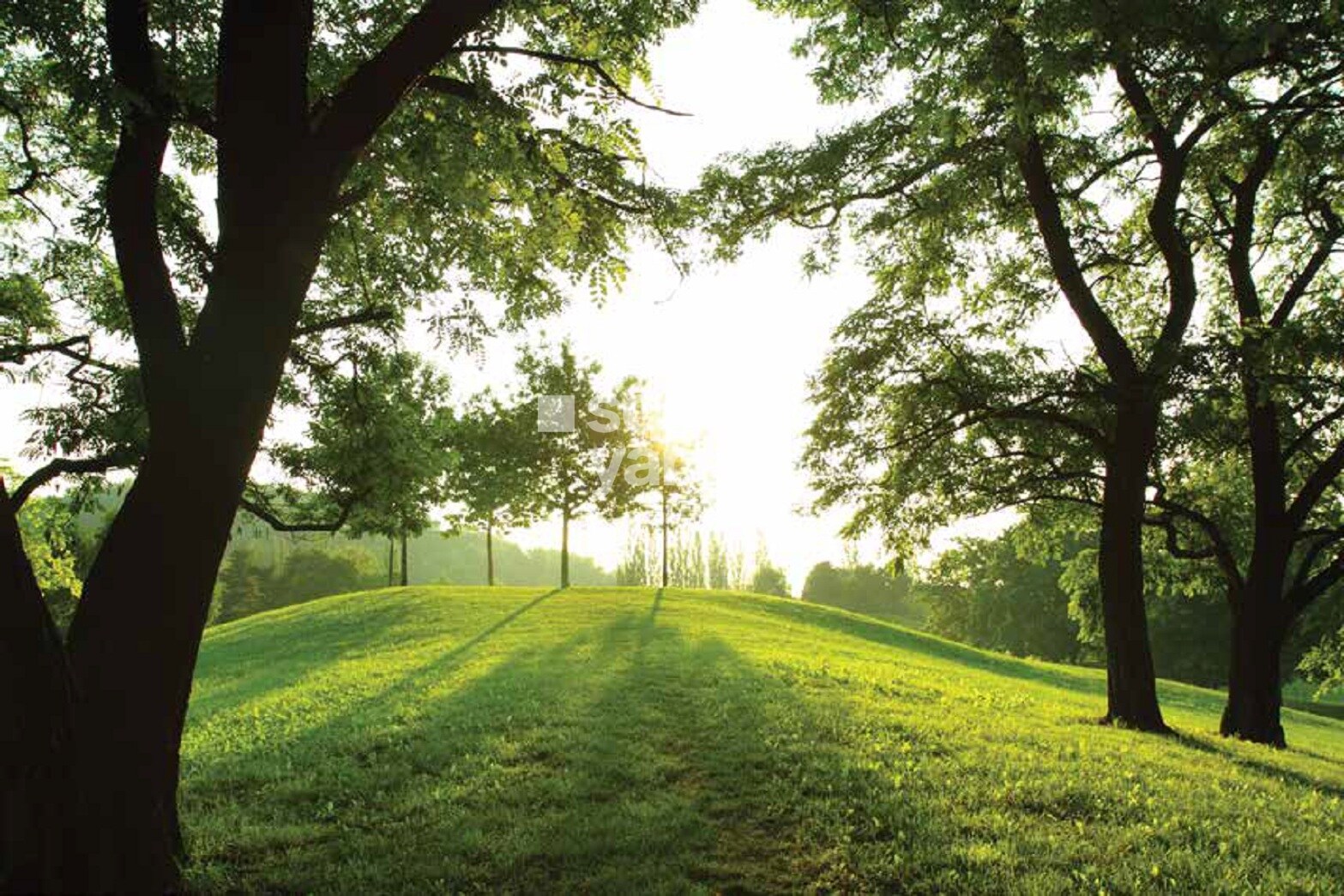 Godrej The Highlands Greens Image 1