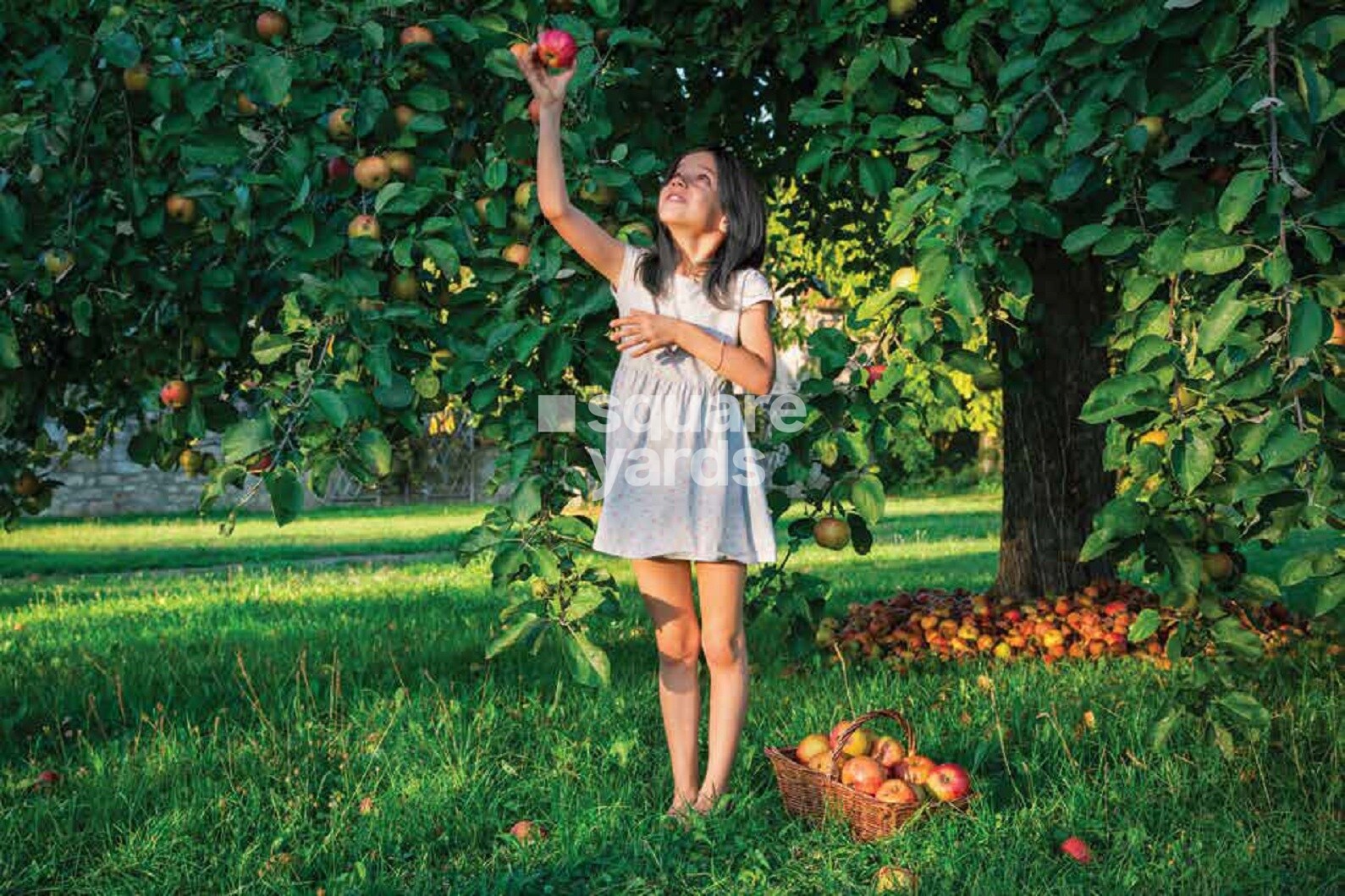 Godrej The Highlands