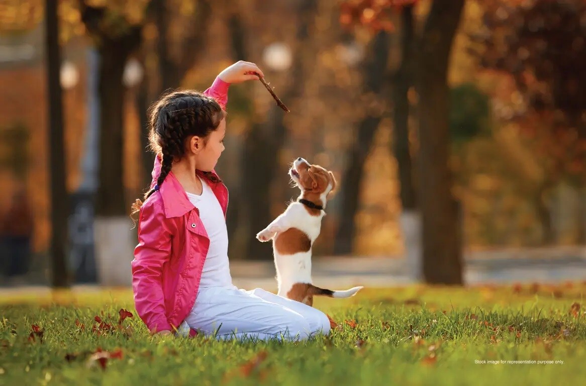 Godrej Woodside Estate Amenities-Features