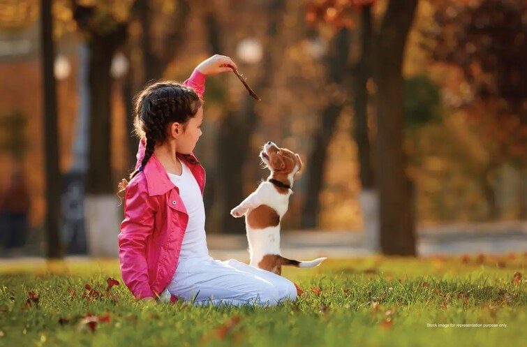 Godrej Woodside Estate Amenities-Features 2