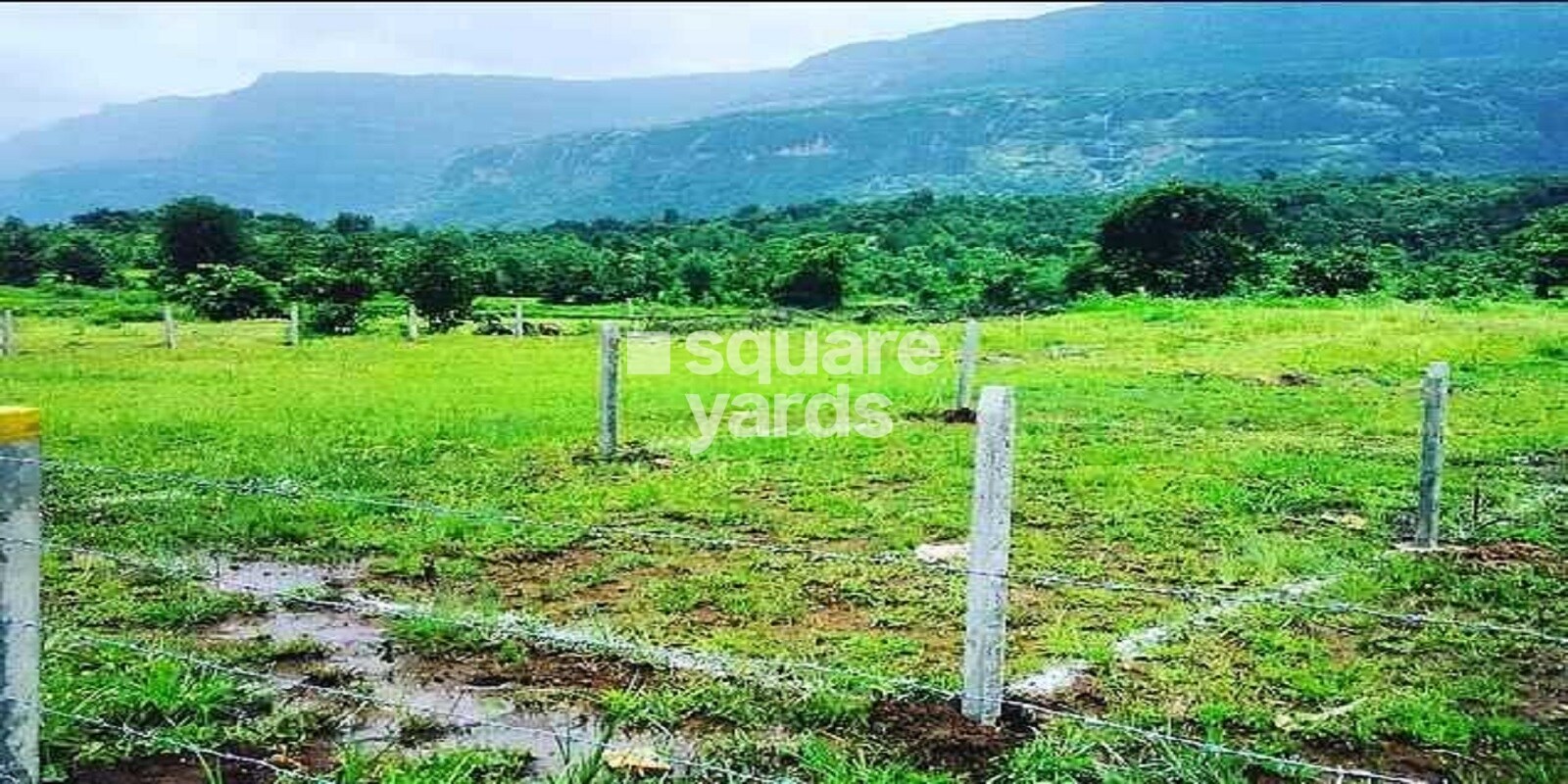 Green Rudra Hills