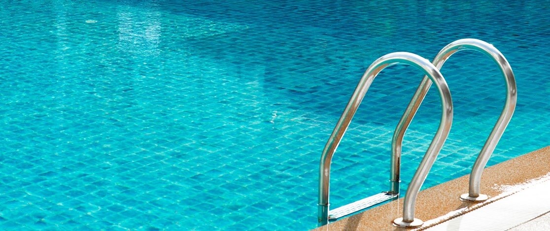 Himgiri Wellwisher Bluebell