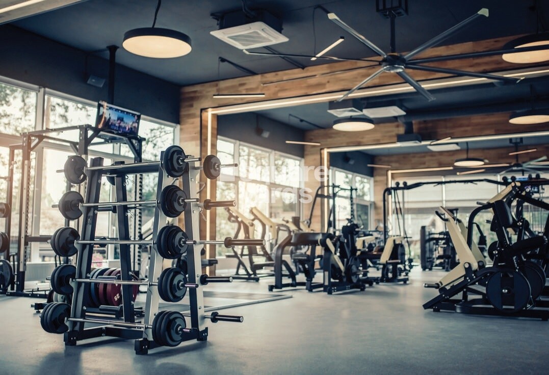 Juhi Niharika Absolute