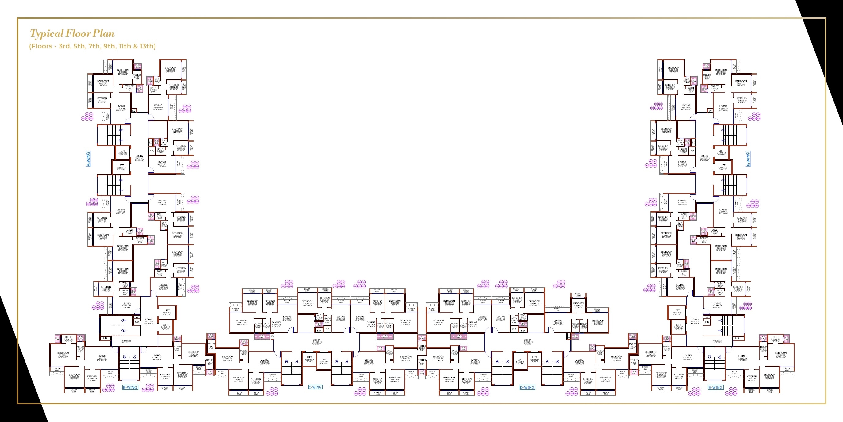 Juhi Niharika Absolute