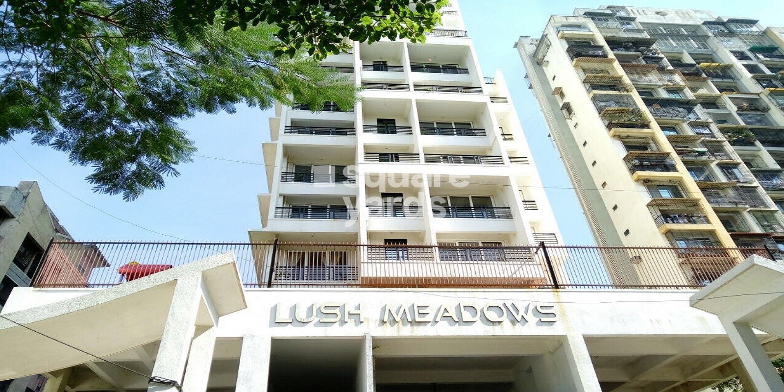 Kailash Lush Meadows