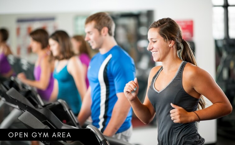 LK Avanti Gymnasium Image