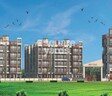 Maruti Shiv Utsav
