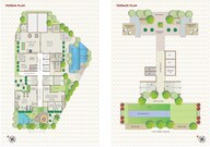 Mass Insignia Floor Plans