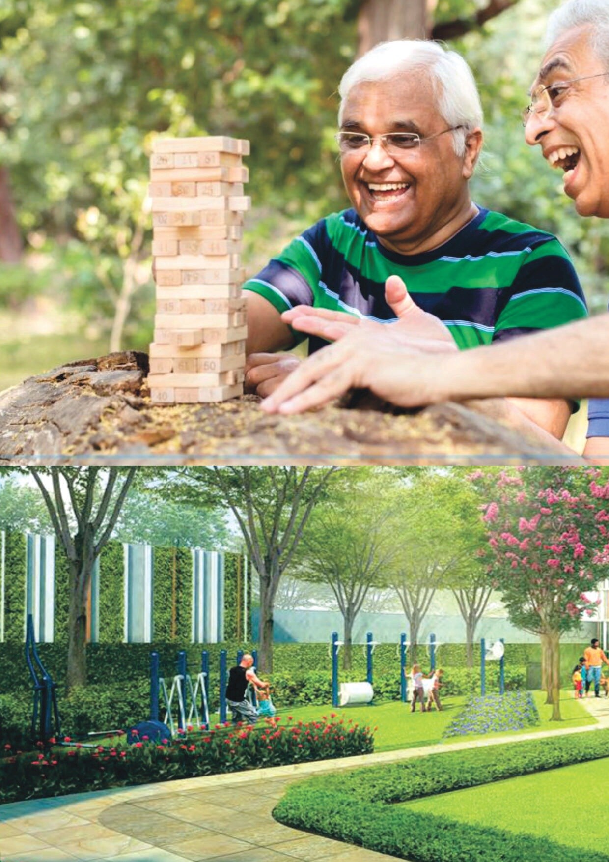 Micron Silver Fern Amenities-Features 3