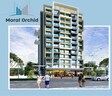 Moral Orchid
