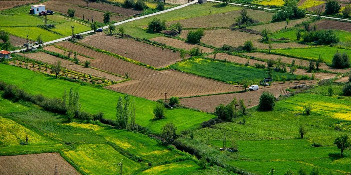 Neoliv Grand Forest Prive Featured Image