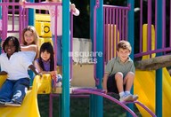 Palm Season Square Amenities-Features