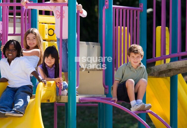 Palm Season Square Amenities-Features 1