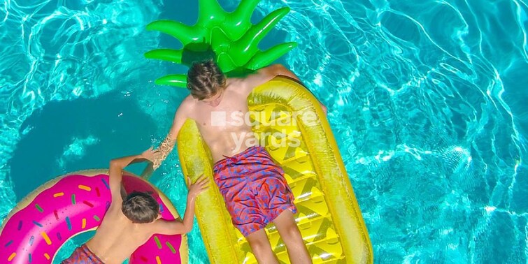 Palm Season Square Amenities-Features 4