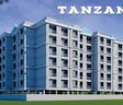 Palte Tanzanite