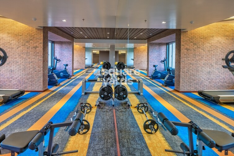 Paradise Lifespaces Sai World City Gymnasium Image