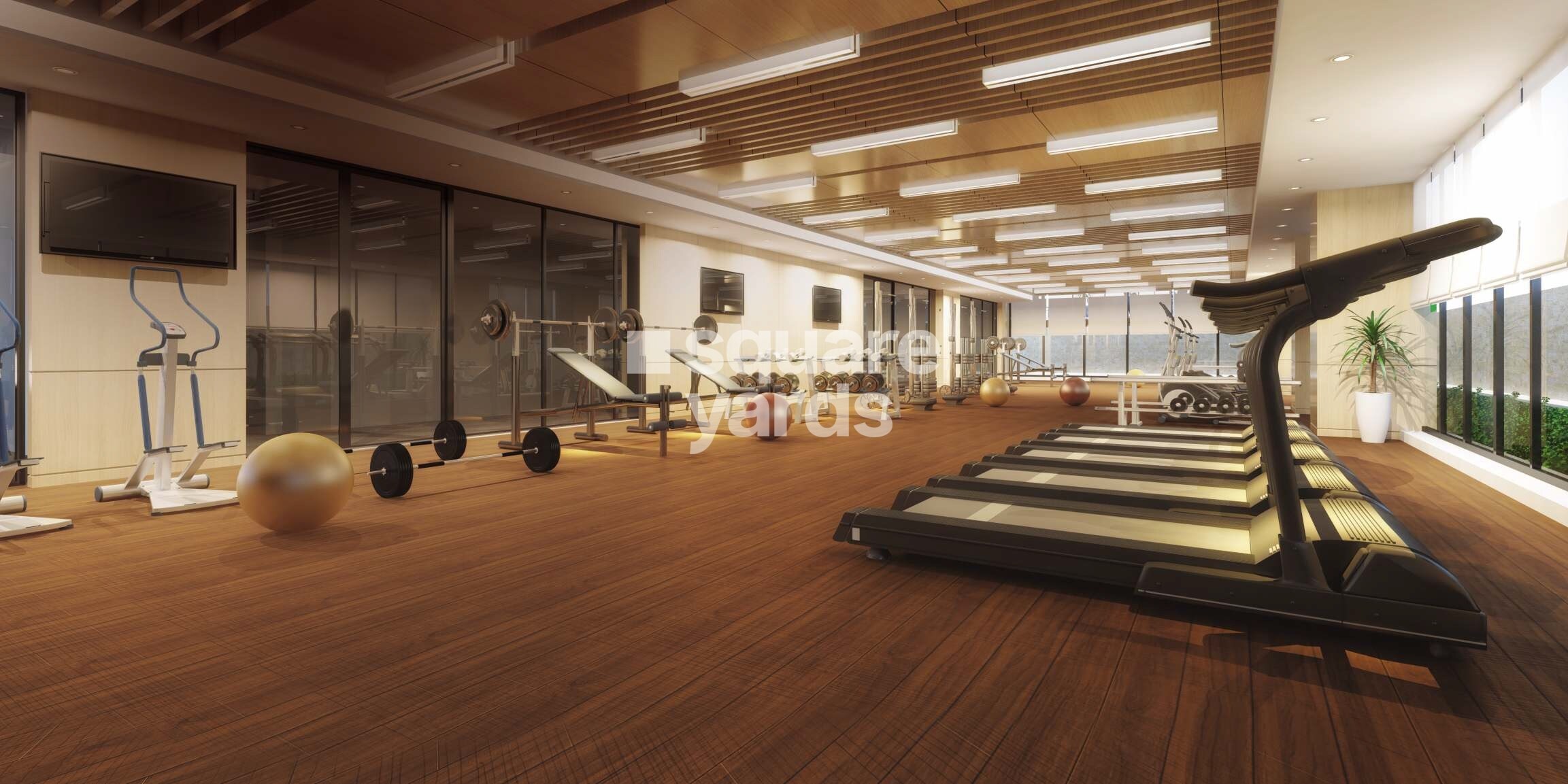 Paradise Sai World Empire Gymnasium Image