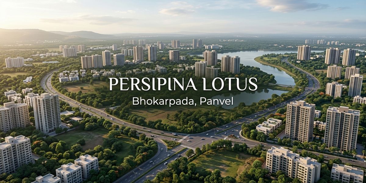 Persipina Lotus