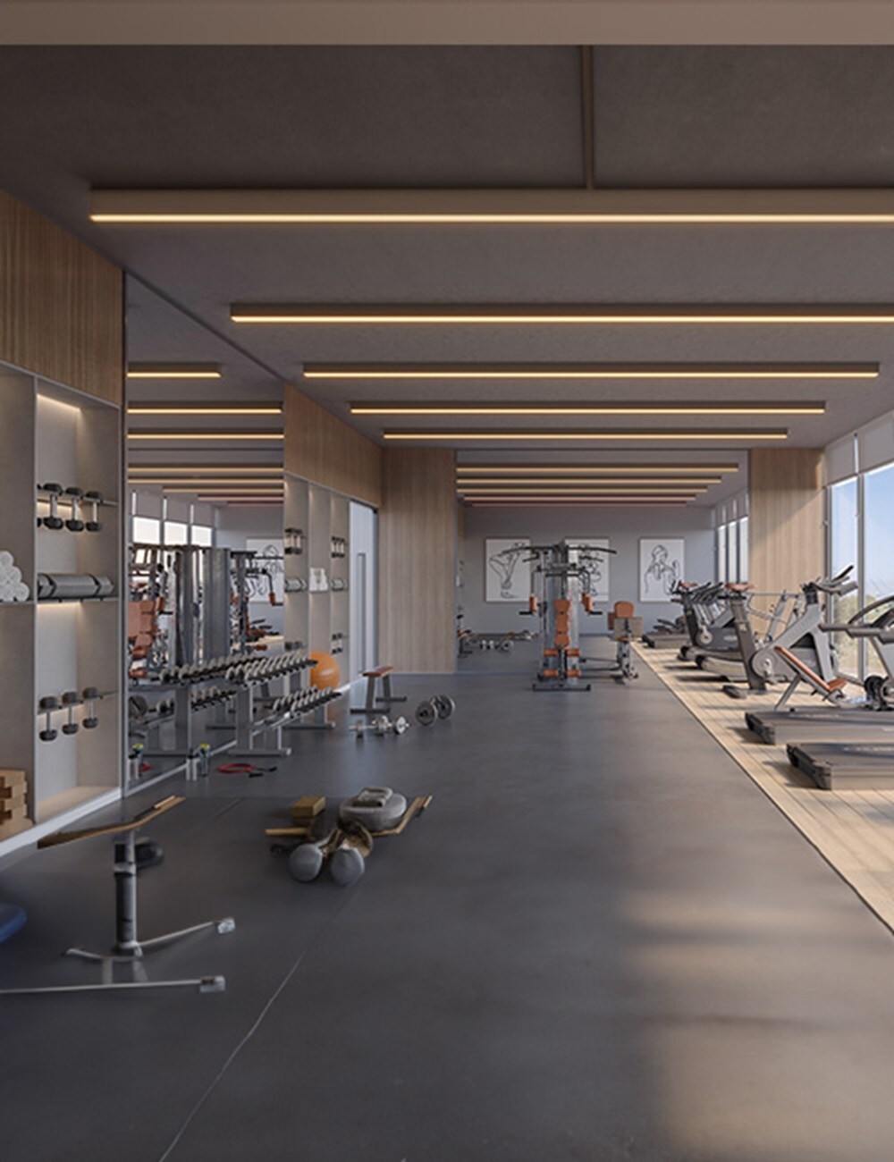 Platinum Oakwoods Gymnasium Image